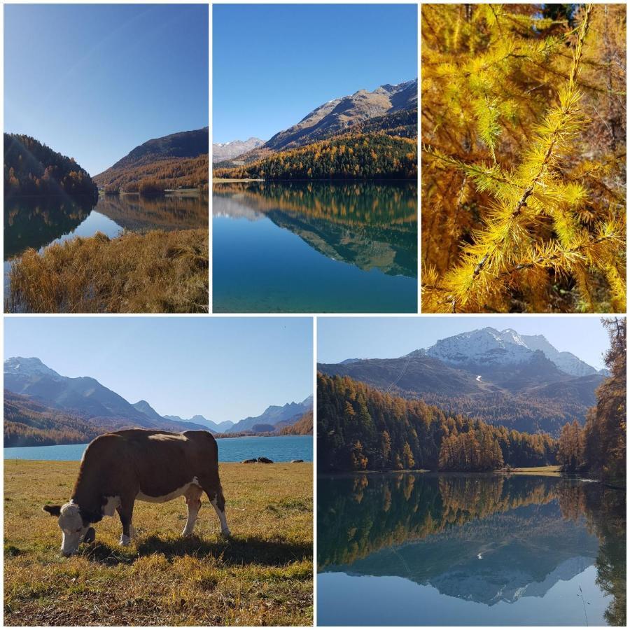 Appartamento Chesa Madrisa Sankt Moritz Esterno foto